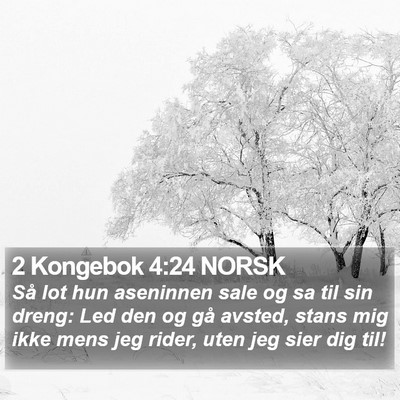 2 Kongebok 4:24 NORSK Bible Verse Image