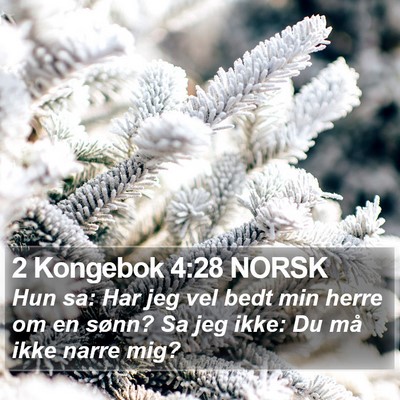 2 Kongebok 4:28 NORSK Bible Verse Image