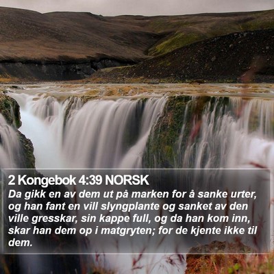 2 Kongebok 4:39 NORSK Bible Verse Image