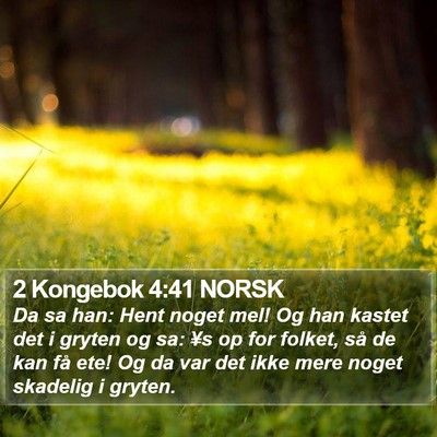 2 Kongebok 4:41 NORSK Bible Verse Image