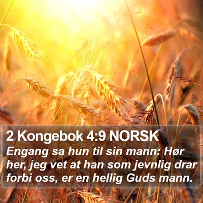 2 Kongebok 4:9 NORSK Bible Verse Image