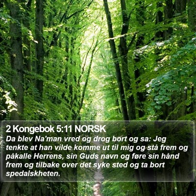 2 Kongebok 5:11 NORSK Bible Verse Image