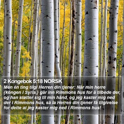 2 Kongebok 5:18 NORSK Bible Verse Image