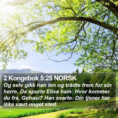 2 Kongebok 5:25 NORSK Bible Verse Image