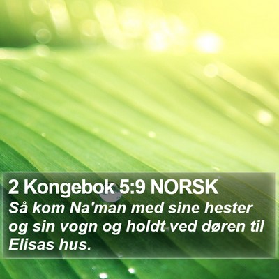 2 Kongebok 5:9 NORSK Bible Verse Image
