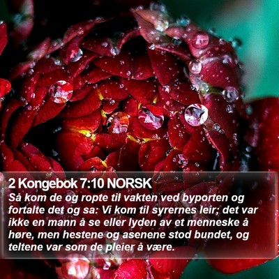 2 Kongebok 7:10 NORSK Bible Verse Image
