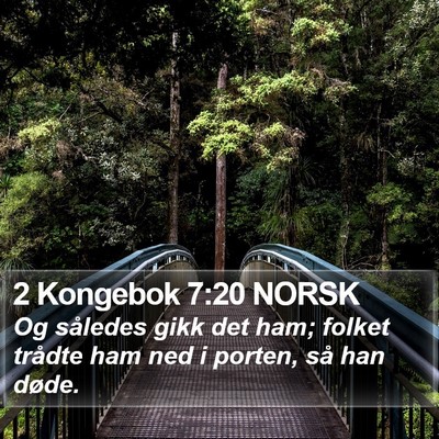 2 Kongebok 7:20 NORSK Bible Verse Image