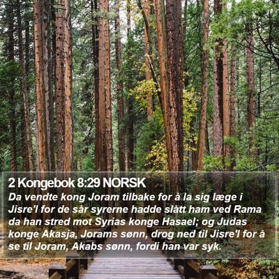 2 Kongebok 8:29 NORSK Bible Verse Image