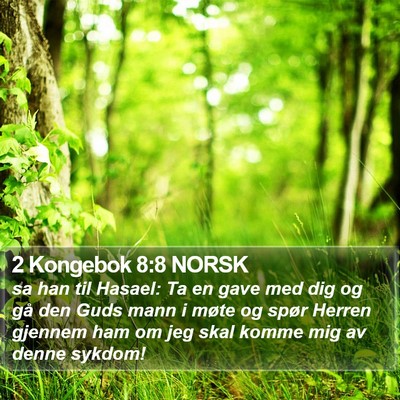 2 Kongebok 8:8 NORSK Bible Verse Image