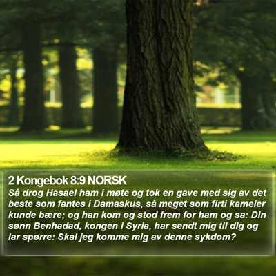 2 Kongebok 8:9 NORSK Bible Verse Image