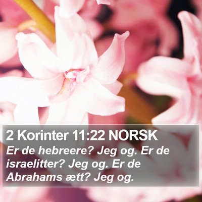 2 Korinter 11:22 NORSK Bible Verse Image