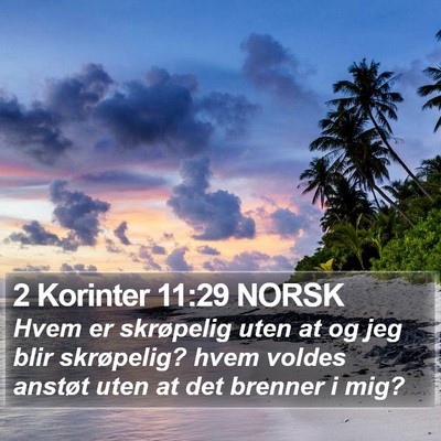 2 Korinter 11:29 NORSK Bible Verse Image