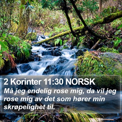 2 Korinter 11:30 NORSK Bible Verse Image