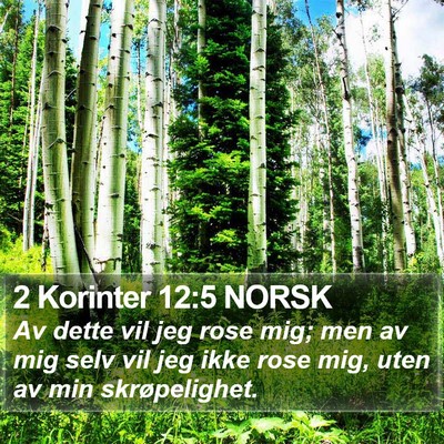 2 Korinter 12:5 NORSK Bible Verse Image