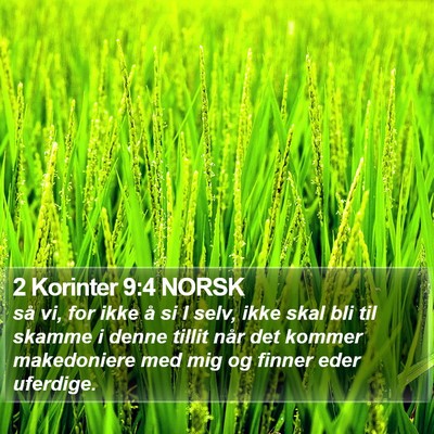 2 Korinter 9:4 NORSK Bible Verse Image