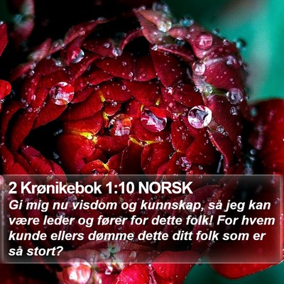 2 Krønikebok 1:10 NORSK Bible Verse Image