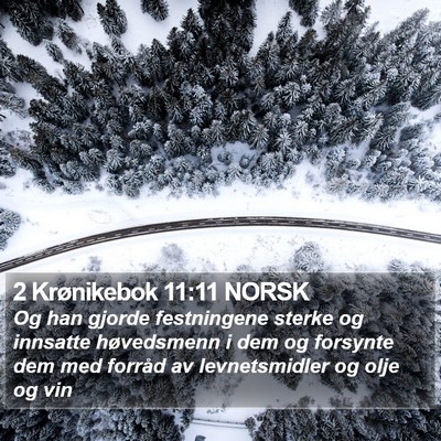 2 Krønikebok 11:11 NORSK Bible Verse Image