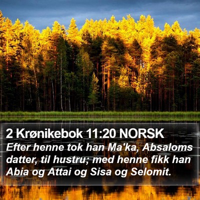 2 Krønikebok 11:20 NORSK Bible Verse Image