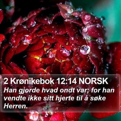 2 Krønikebok 12:14 NORSK Bible Verse Image