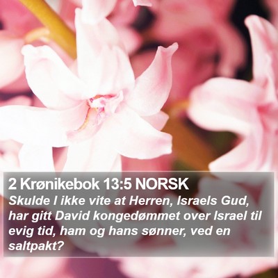 2 Krønikebok 13:5 NORSK Bible Verse Image