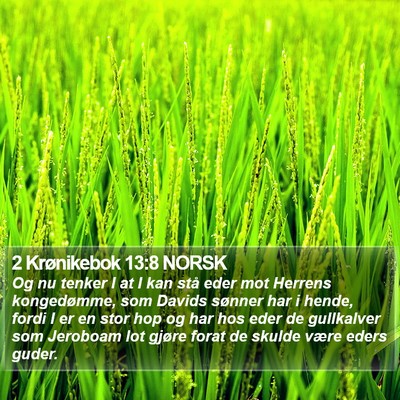 2 Krønikebok 13:8 NORSK Bible Verse Image