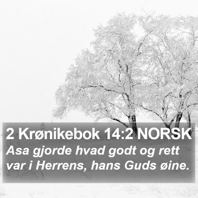 2 Krønikebok 14:2 NORSK Bible Verse Image