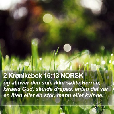 2 Krønikebok 15:13 NORSK Bible Verse Image