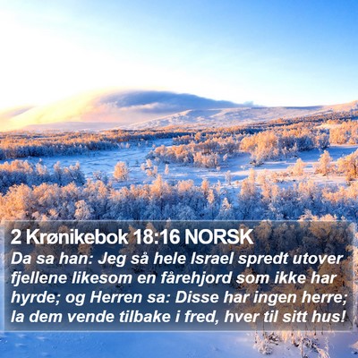 2 Krønikebok 18:16 NORSK Bible Verse Image