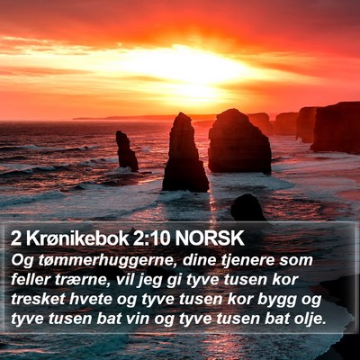 2 Krønikebok 2:10 NORSK Bible Verse Image