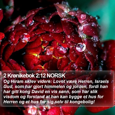2 Krønikebok 2:12 NORSK Bible Verse Image