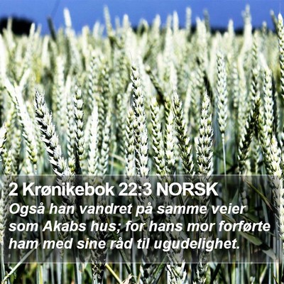 2 Krønikebok 22:3 NORSK Bible Verse Image