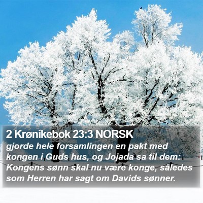 2 Krønikebok 23:3 NORSK Bible Verse Image
