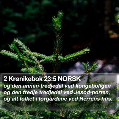 2 Krønikebok 23:5 NORSK Bible Verse Image