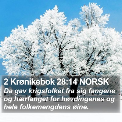 2 Krønikebok 28:14 NORSK Bible Verse Image
