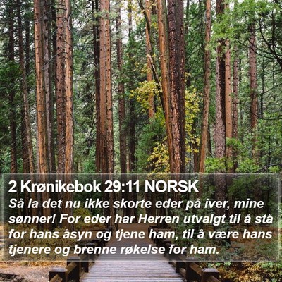 2 Krønikebok 29:11 NORSK Bible Verse Image