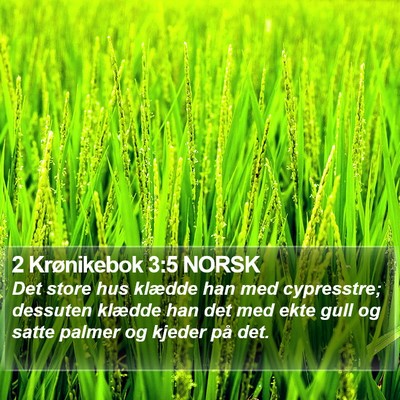 2 Krønikebok 3:5 NORSK Bible Verse Image