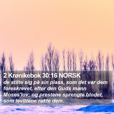 2 Krønikebok 30:16 NORSK Bible Verse Image