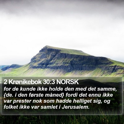 2 Krønikebok 30:3 NORSK Bible Verse Image