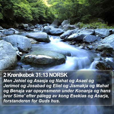2 Krønikebok 31:13 NORSK Bible Verse Image