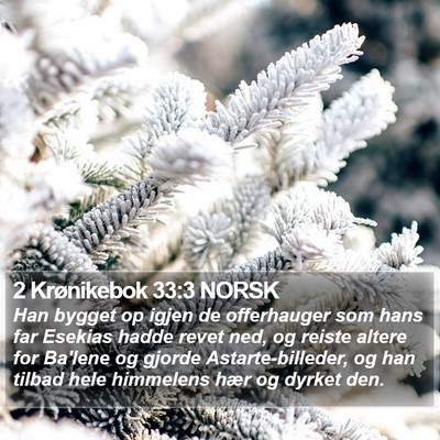 2 Krønikebok 33:3 NORSK Bible Verse Image