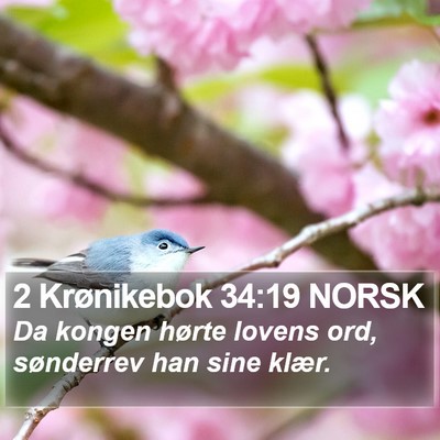2 Krønikebok 34:19 NORSK Bible Verse Image