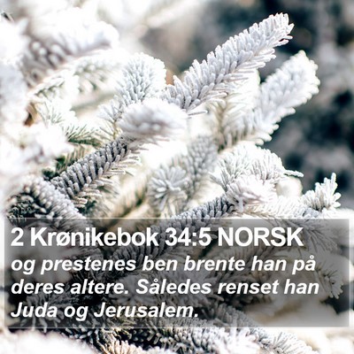 2 Krønikebok 34:5 NORSK Bible Verse Image