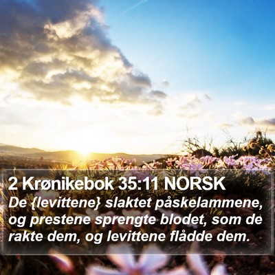 2 Krønikebok 35:11 NORSK Bible Verse Image
