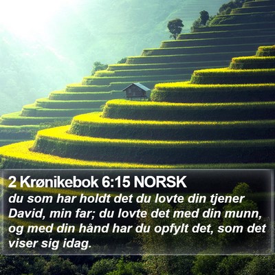 2 Krønikebok 6:15 NORSK Bible Verse Image
