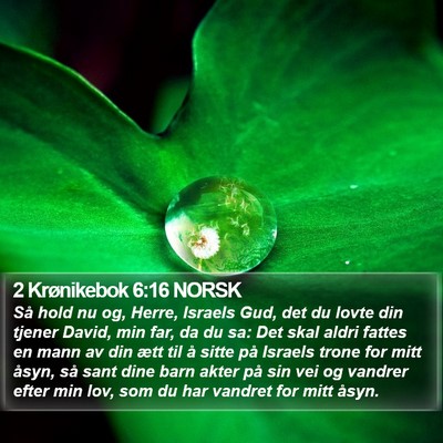 2 Krønikebok 6:16 NORSK Bible Verse Image