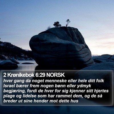 2 Krønikebok 6:29 NORSK Bible Verse Image