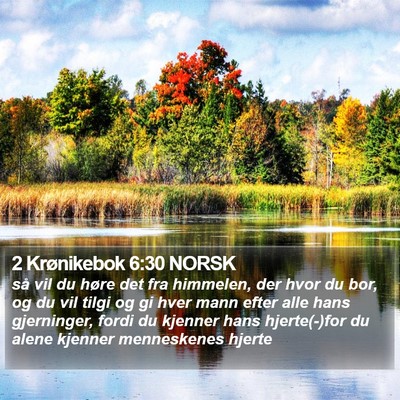 2 Krønikebok 6:30 NORSK Bible Verse Image
