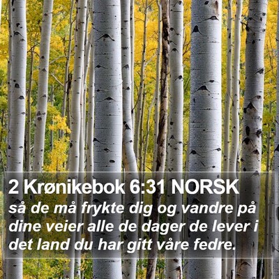 2 Krønikebok 6:31 NORSK Bible Verse Image