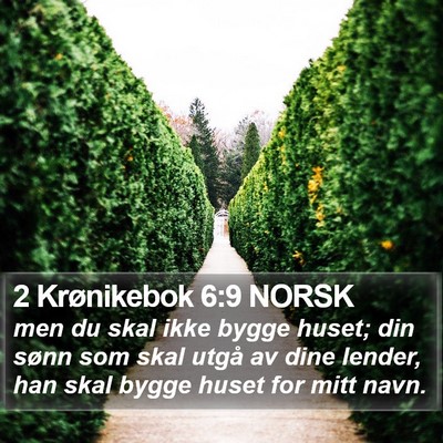 2 Krønikebok 6:9 NORSK Bible Verse Image