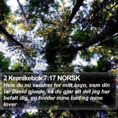 2 Krønikebok 7:17 NORSK Bible Verse Image